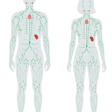 Lymphdrainage Saland Rapperswil
